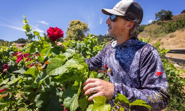 Carpinteria Farm Tour – Shepherd Farms