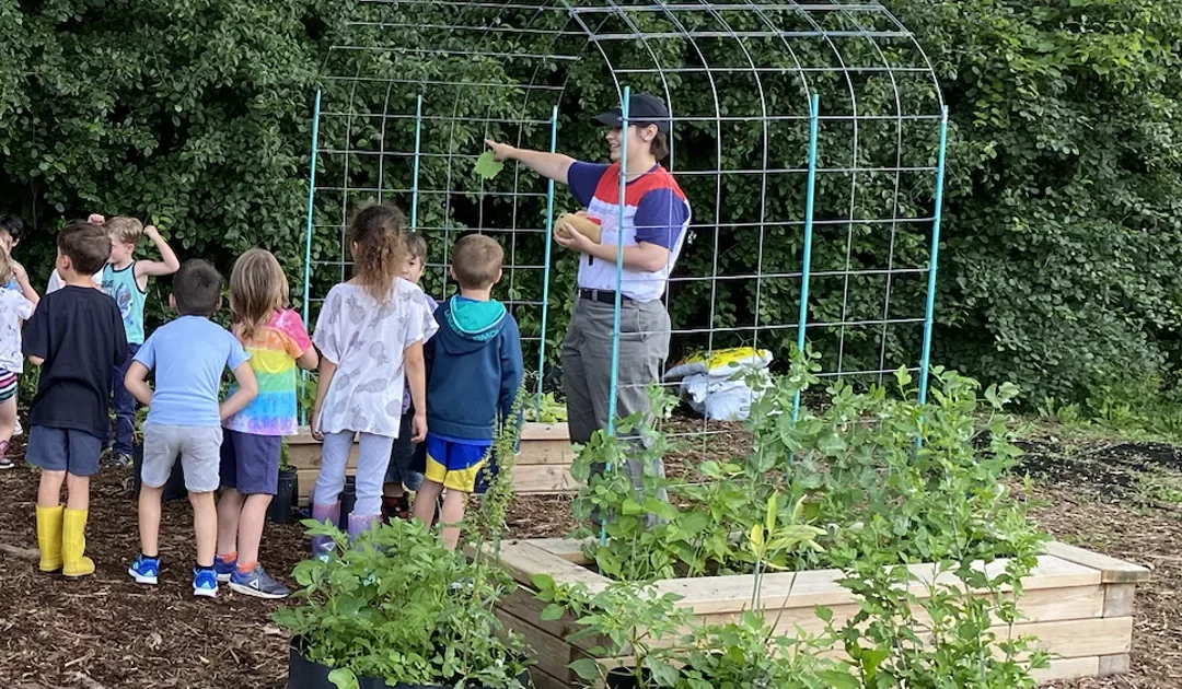 School Gardens